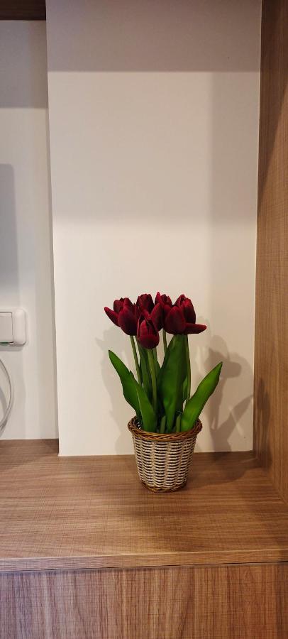 Lahabana Huahin By Moji Apartman Kültér fotó